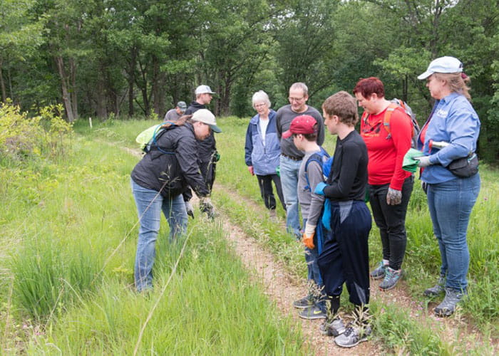 volunteer stewards learning about invasive species on a trail