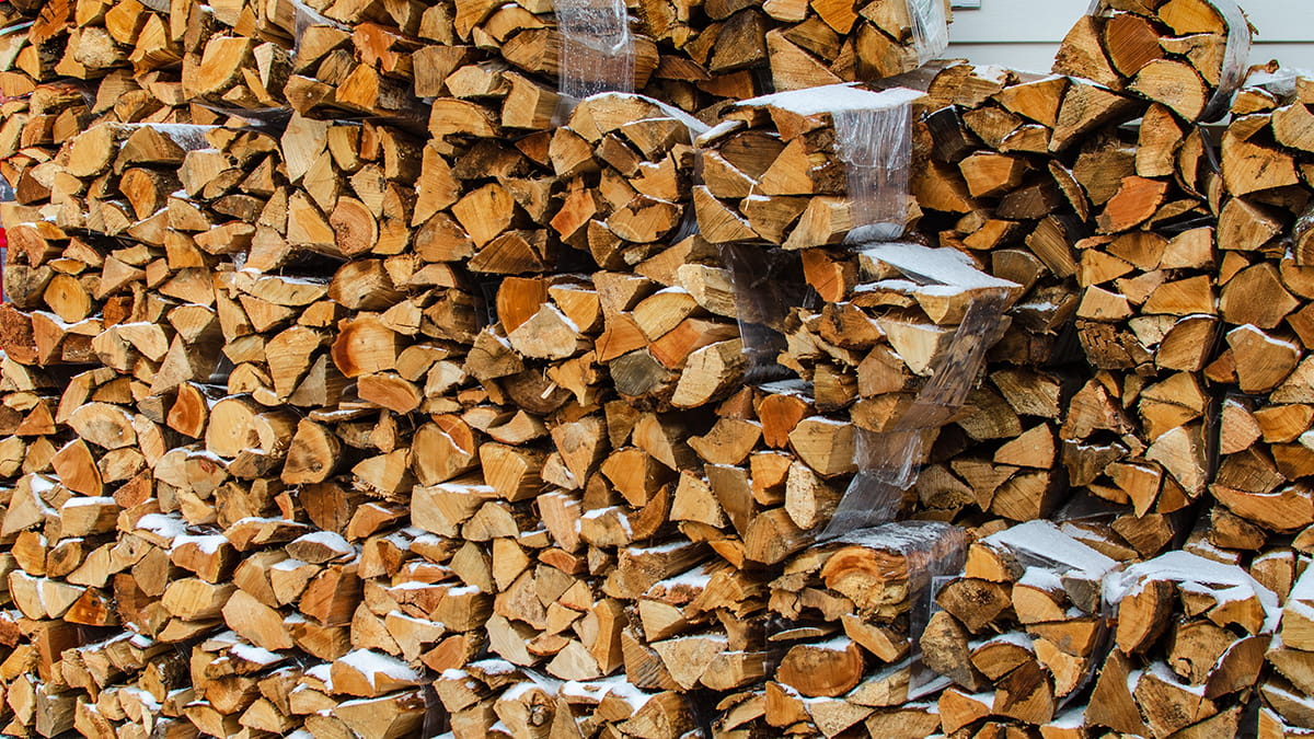 Stacked bundles of firewood
