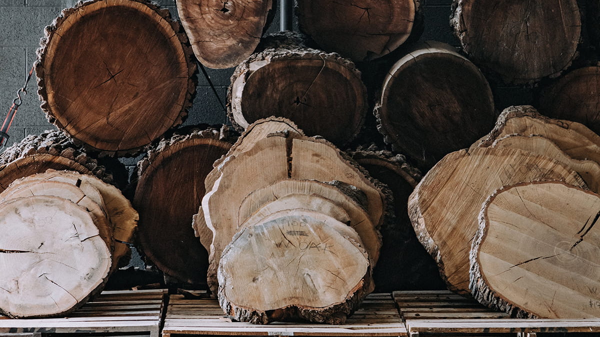 Slices of trees are piled up for woodworkers to turn into products
