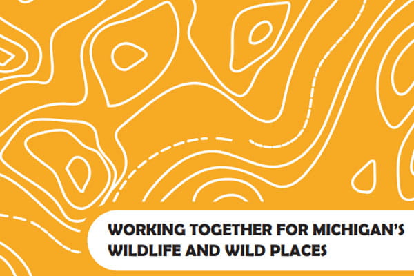 Cover of the Wildlife Division Guiding Principles and Strategies with the text, 