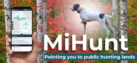 A banner showing MiHunh on a mobile phone with a dog pointing to the app. 