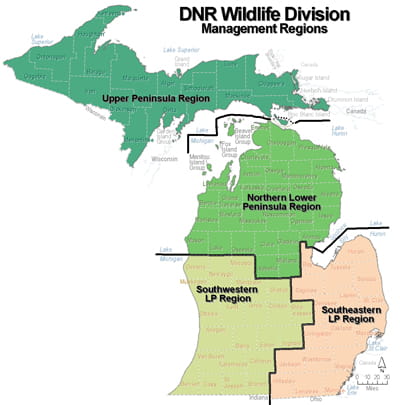 A map of Michigan separating the UP, the Northern Lower LP, the Southwestern LP, and Southeastern LP into management regions