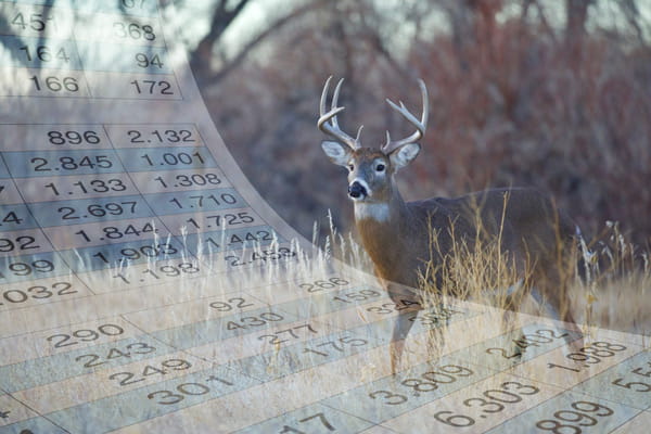 An image of a deer buck with a spreadsheet superimposed over the image. 