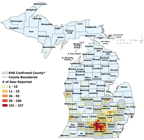 A complex map of Michigan showing distribution of confirmed epizootic hemorrhagic disease (EHD) in white-tailed deer in Michigan. For assistance with this map, please call 517-284-9453. 