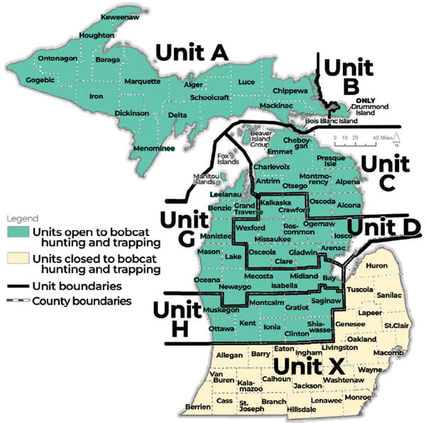 Complex regulatory map showing units open to bobcat hunting and trapping and the boundary lines of each unit. For assistance call 517-284-9453. A written description of boundary lines is available in the Wildlife Conservation Order at Michigan.gov/DNRLaws