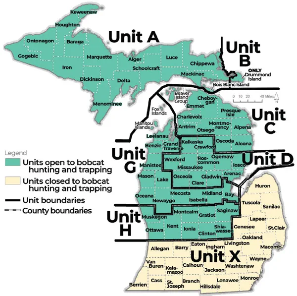 Complex regulatory map showing units open to bobcat hunting and trapping and the boundary lines of each unit. For assistance call 517-284-9453. A written description of boundary lines is available in the Wildlife Conservation Order at Michigan.gov/DNRLaws