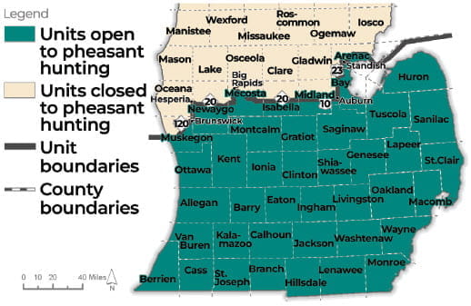 Complex regulatory map showing areas open to winter pheasant hunting in the Lower Peninsula. For assistance, please call 517-284-9453 or check the written description boundaries in the Wildlife Conservation Order available at Michigan.gov/DNRLaws.