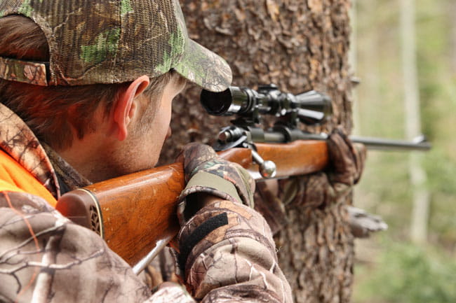 A hunter takes aim with a rifle. 