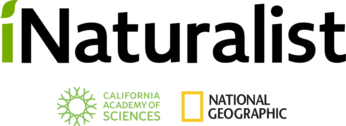iNaturalist logo with supporting logos of National Geographic and the California Academy of Sciences