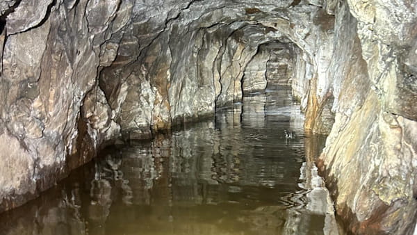 An old mine partially flooded that serves as winter bat hibernacula. 