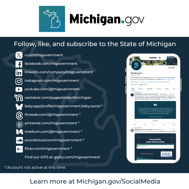 Image of the State of Michigan global social accounts. Includes links to accounts.
