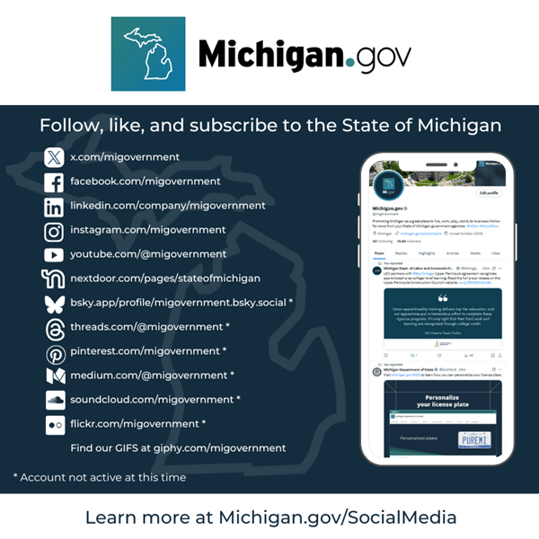 Image of the State of Michigan global social accounts. Includes links to accounts.
