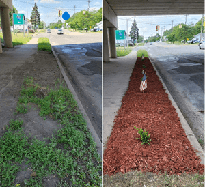 Hosmer Street Cleanup