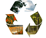 Recycle Logo