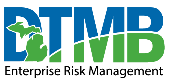 Wordmark that reads "DTMB Enterprise Risk Management".