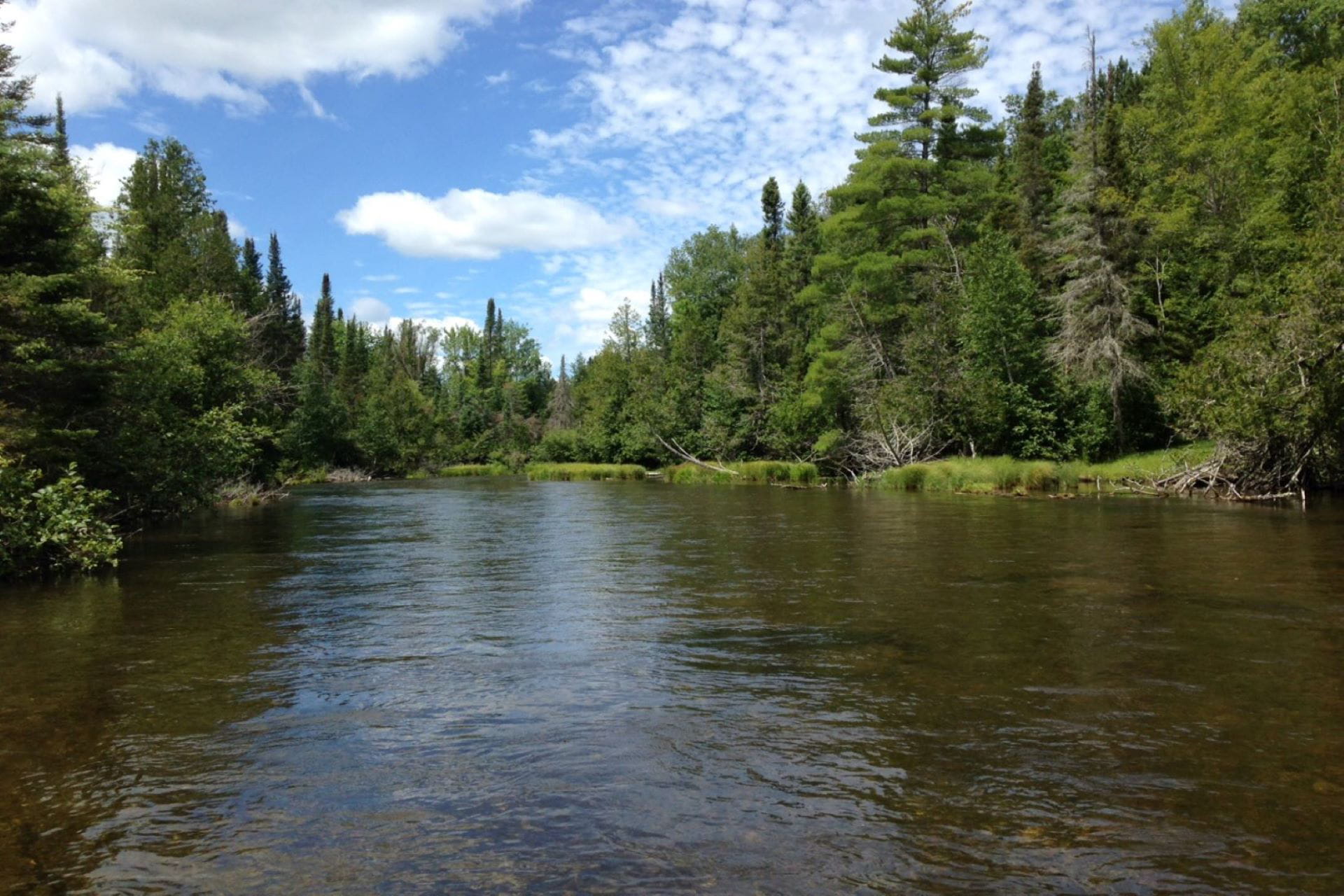 Michigan DNR Ausable River