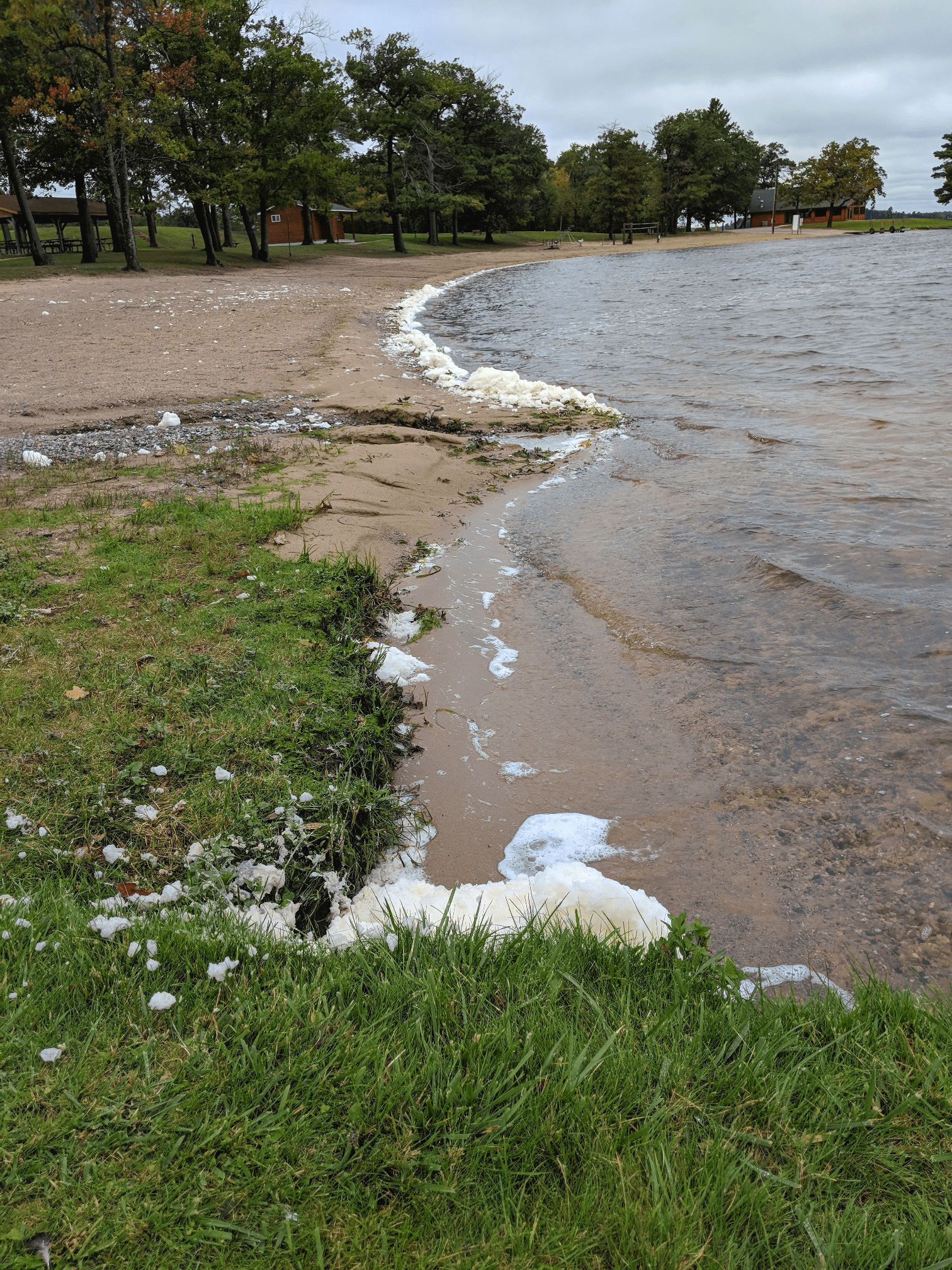 White foam appearing along the beach of Van Etten Lake in Ratliff Park