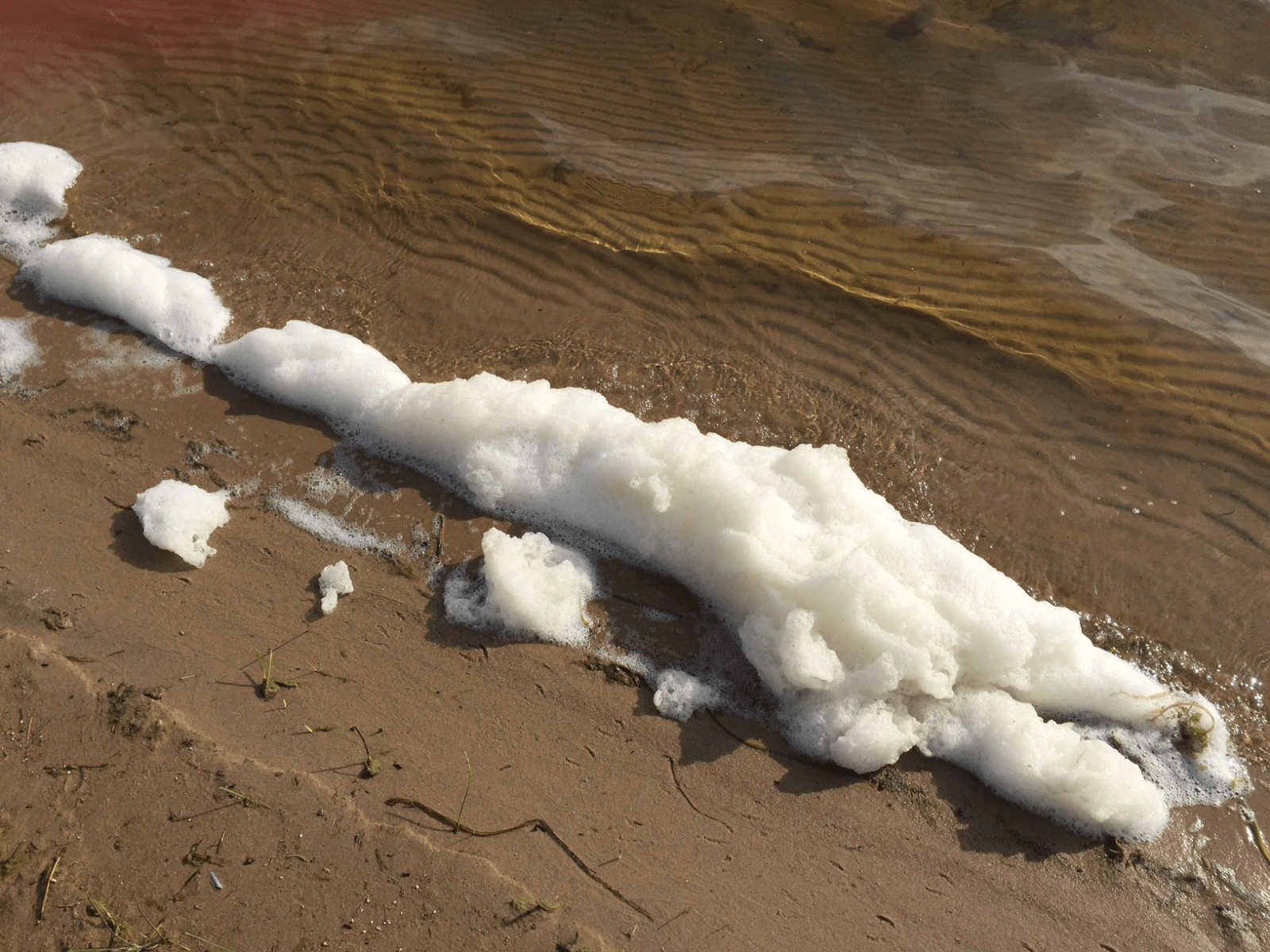 Thick white foam along the sandy shores of Van Etten Lake