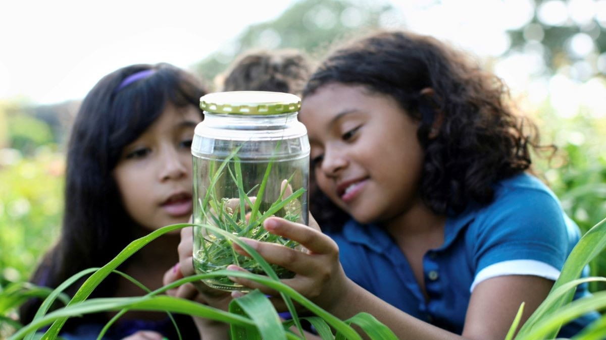Two young children in the outdoors peer into a jar