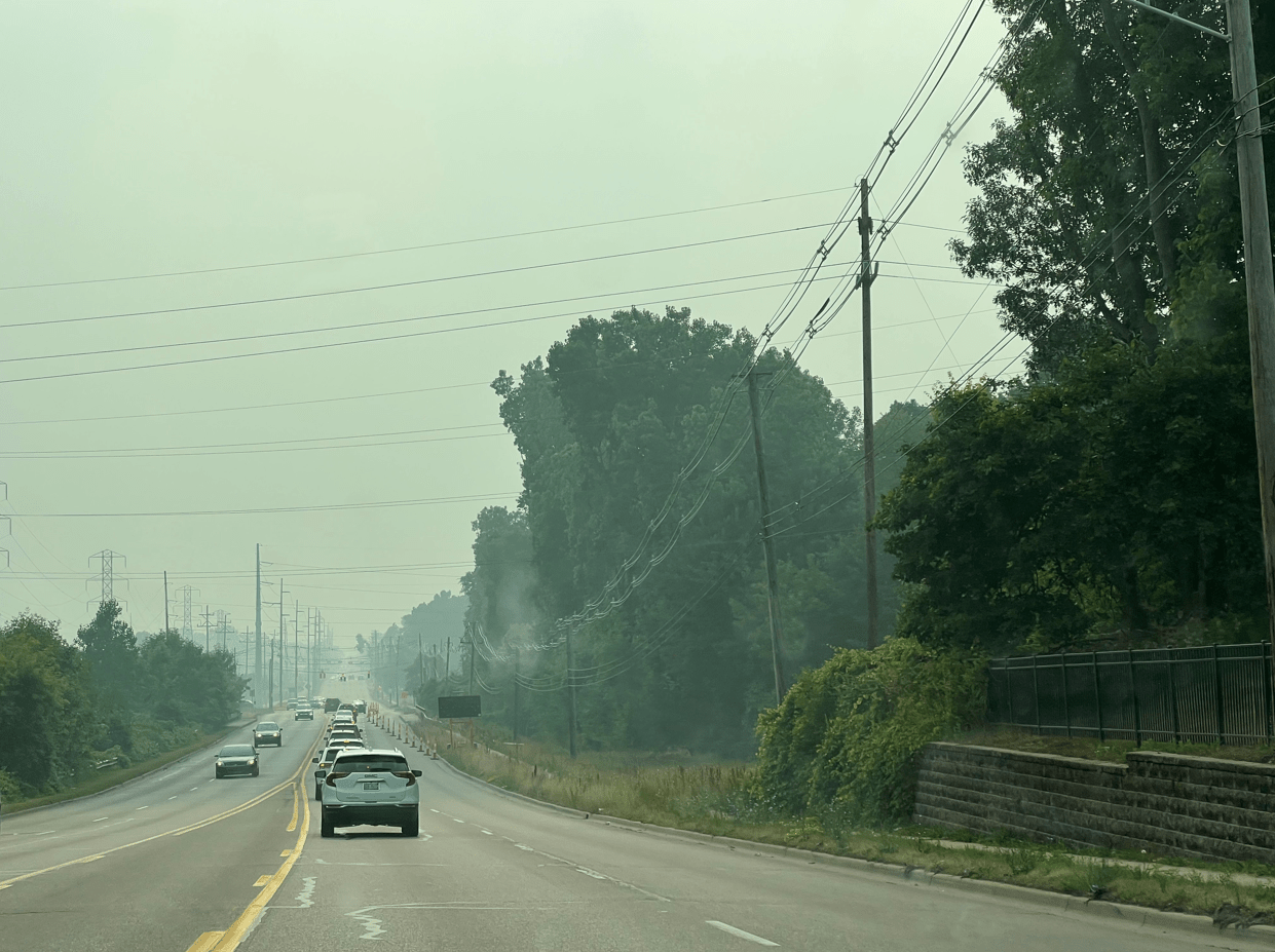 A busy, tree-lined street, with the air thick with wildfire smoke