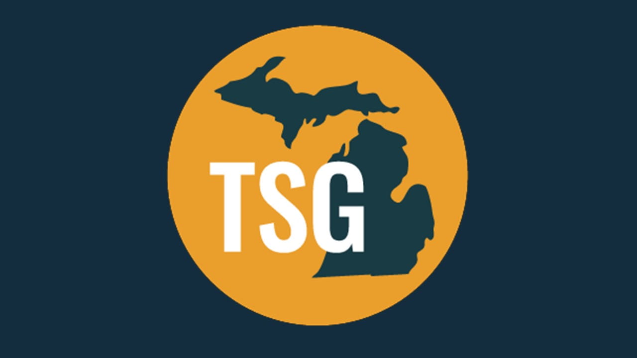 A circle with the map of Michigan in it.  The letters TSG are on top of the map signifying Toxics Steering Group.
