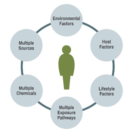 Toxic Risk Assessments - a human figure surrounded by environmental factors, host factors, lifestyle factors, multiple exposure pathways, multiple chemicals, and multiple sources.