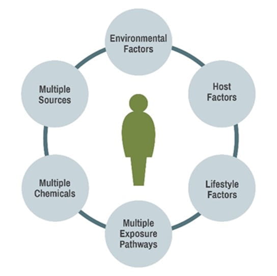 Toxic Risk Assessments - a human figure surrounded by environmental factors, host factors, lifestyle factors, multiple exposure pathways, multiple chemicals, and multiple sources.