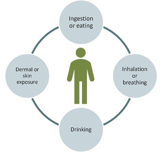 Toxic Air Contaminants Exposure Risks expressed by a human figure surrounded by four risks:  ingestion or eating, inhalation or breathing, drinking, and dermal or skin exposure.