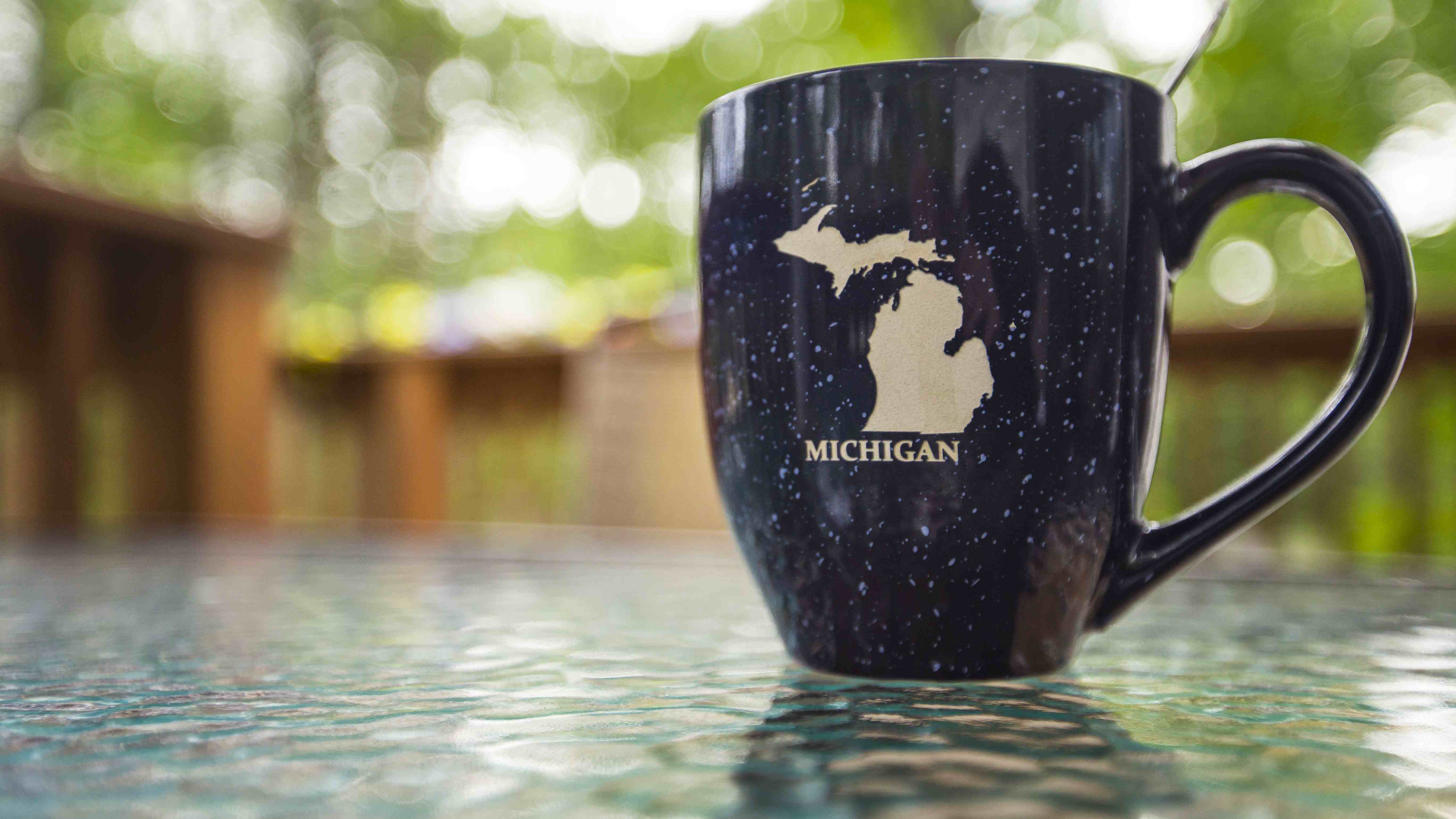 Mug with Michigan sitting on campground table