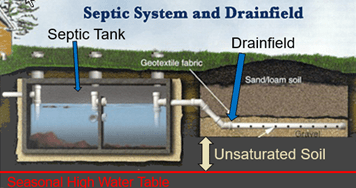 septic drainfield