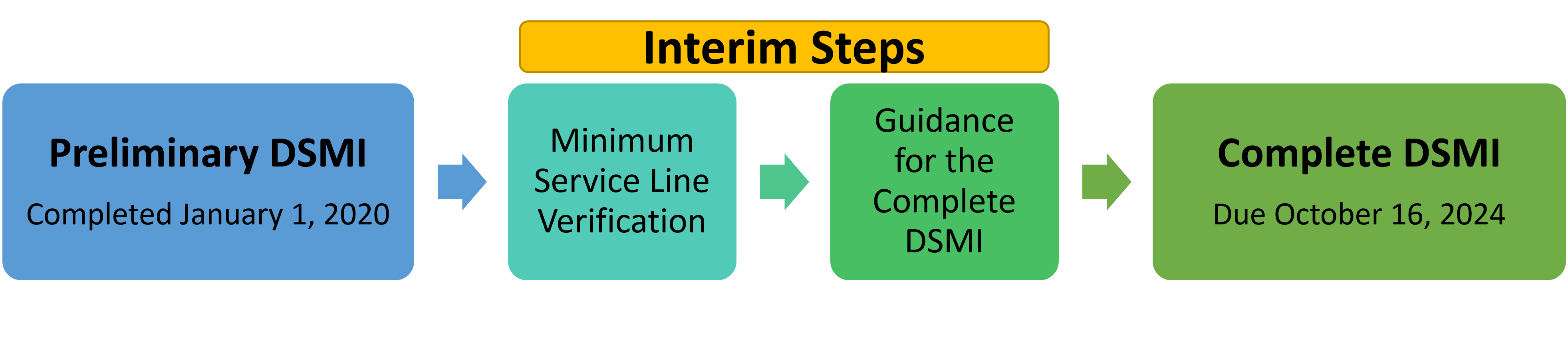 Interim DSMI Steps. Preliminary DSMI Completely January 1, 2020. Minimum Service Line Verification. Guidance for the Complete DSMI. Complete DSMI Due January 1, 2025.