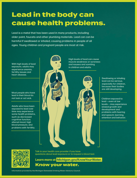 Lead in the body can cause health problems.