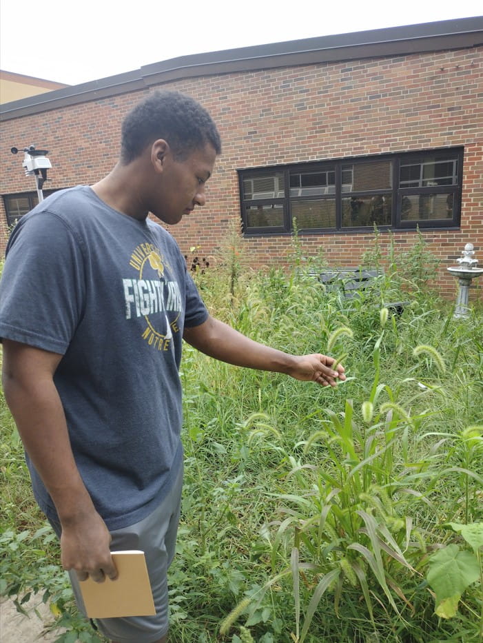 A Buchanan High School Environmental Science student makes observations in the school campus’ prairie habitat corridor