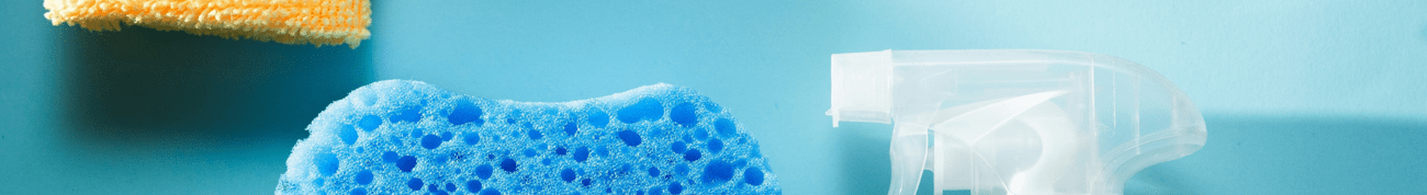 A bottle of cleaning solution and a sponge
