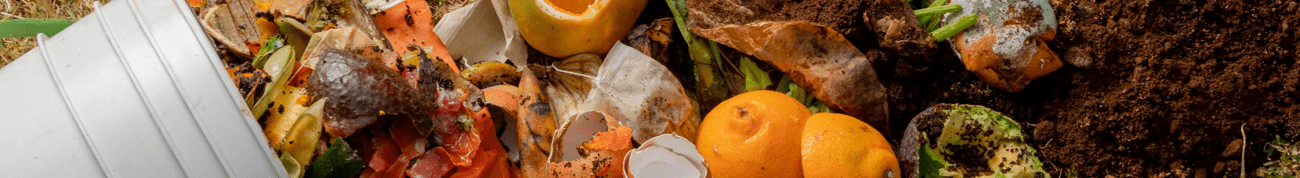 A bucket of food scraps scattered on the ground transitioning into rich brown soil