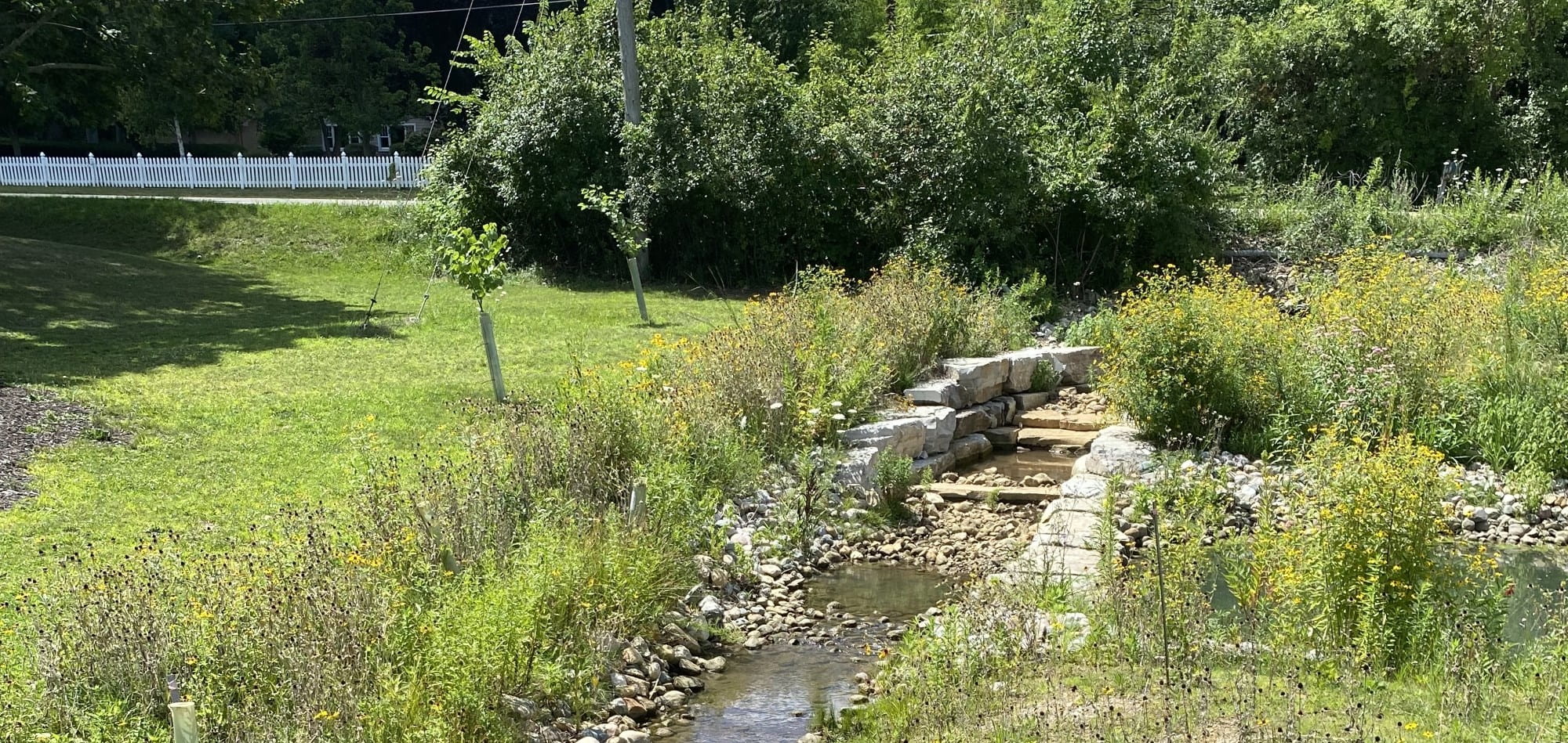 creek surrounded by flowers
