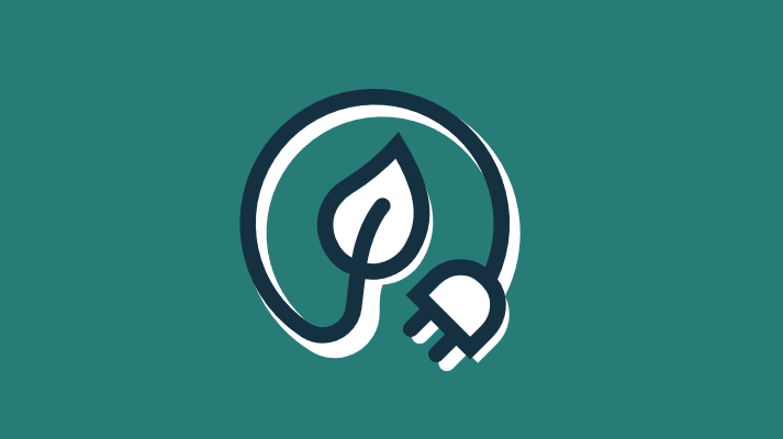 An electrical plug with a leaf at the end
