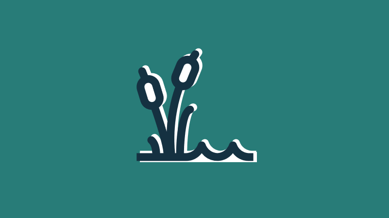 Wetlands