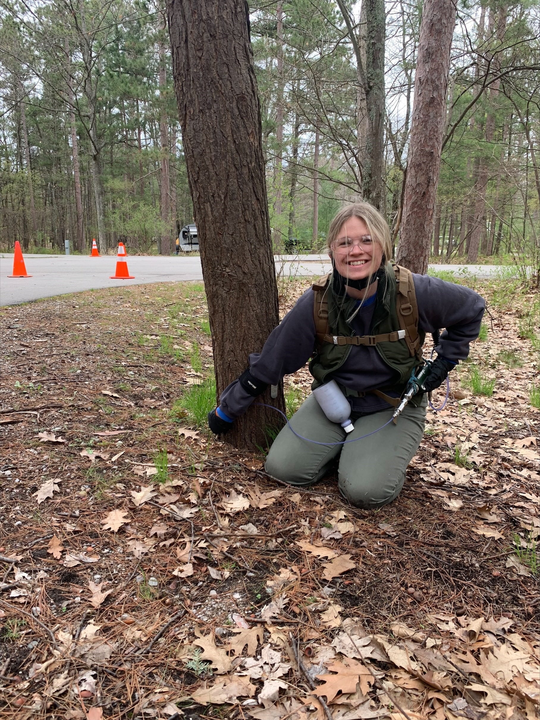 A certified pesticide applicator injects an infested hemlock tree with pesticide.