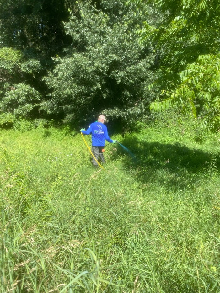 Gabe Lagina of BCK CISMA uses herbicide to treat mile-a-minute weed in Calhoun County.