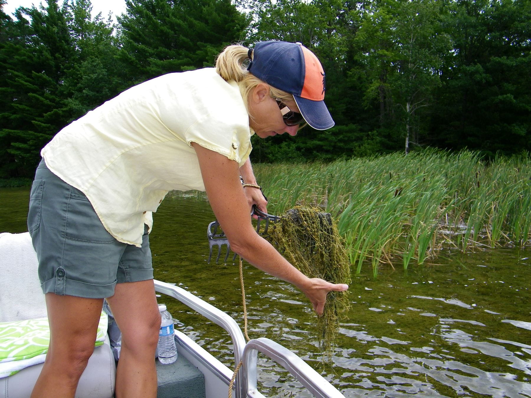 Michigan State University Extension's Jo Latimore brings in a rake full of aquatic plants for analysis.