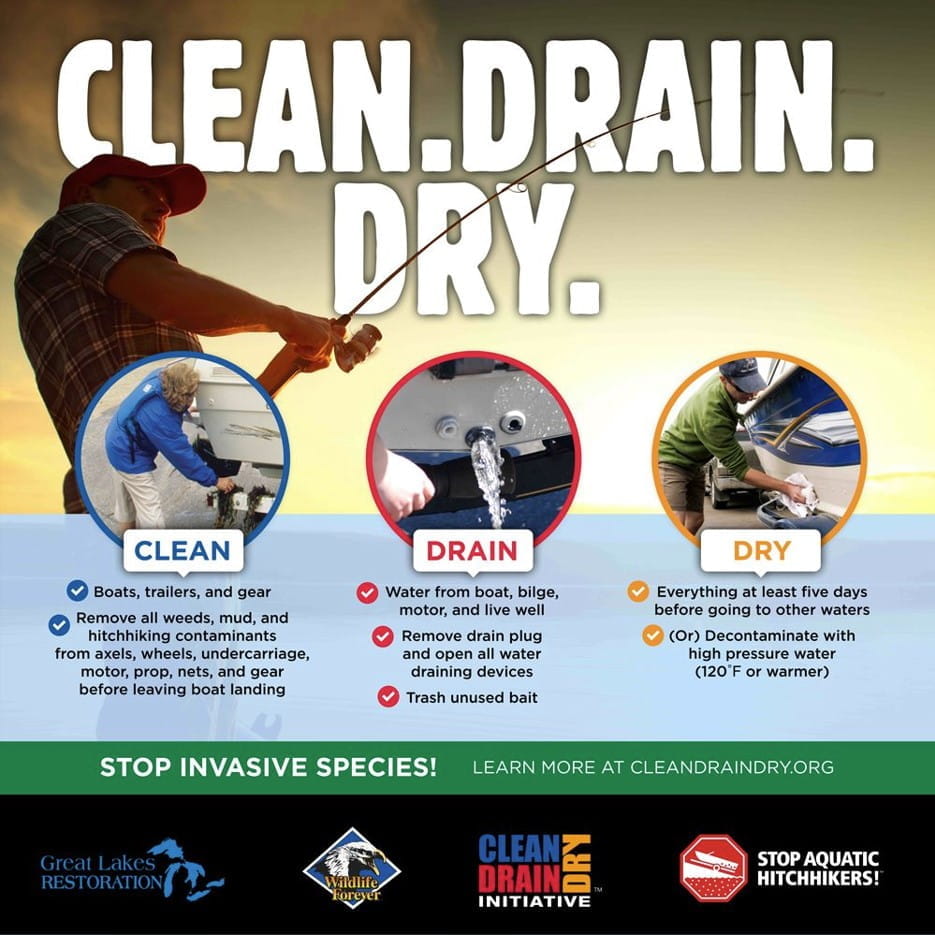 AIS Lansing Blitz Clean Drain Dry graphic