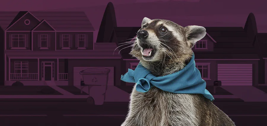 Frank the Recycling Raccoon with a recycling cart