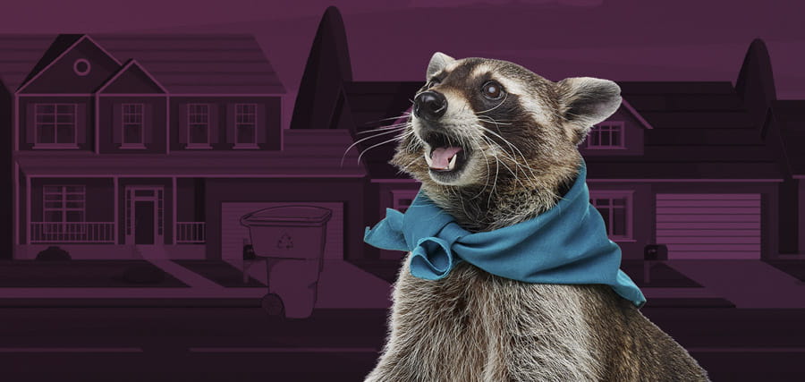 Frank the Recycling Raccoon with a recycling cart