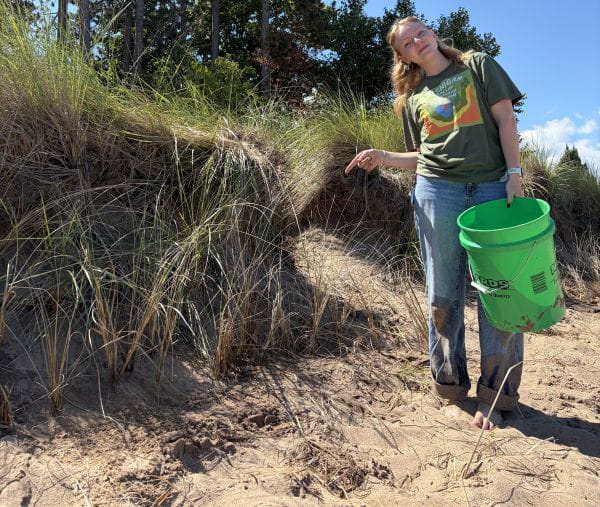 Person pointing to beach grass planting at McCarty’s Cove on Lake Superior in Marquette. Credit: Grace Freed.