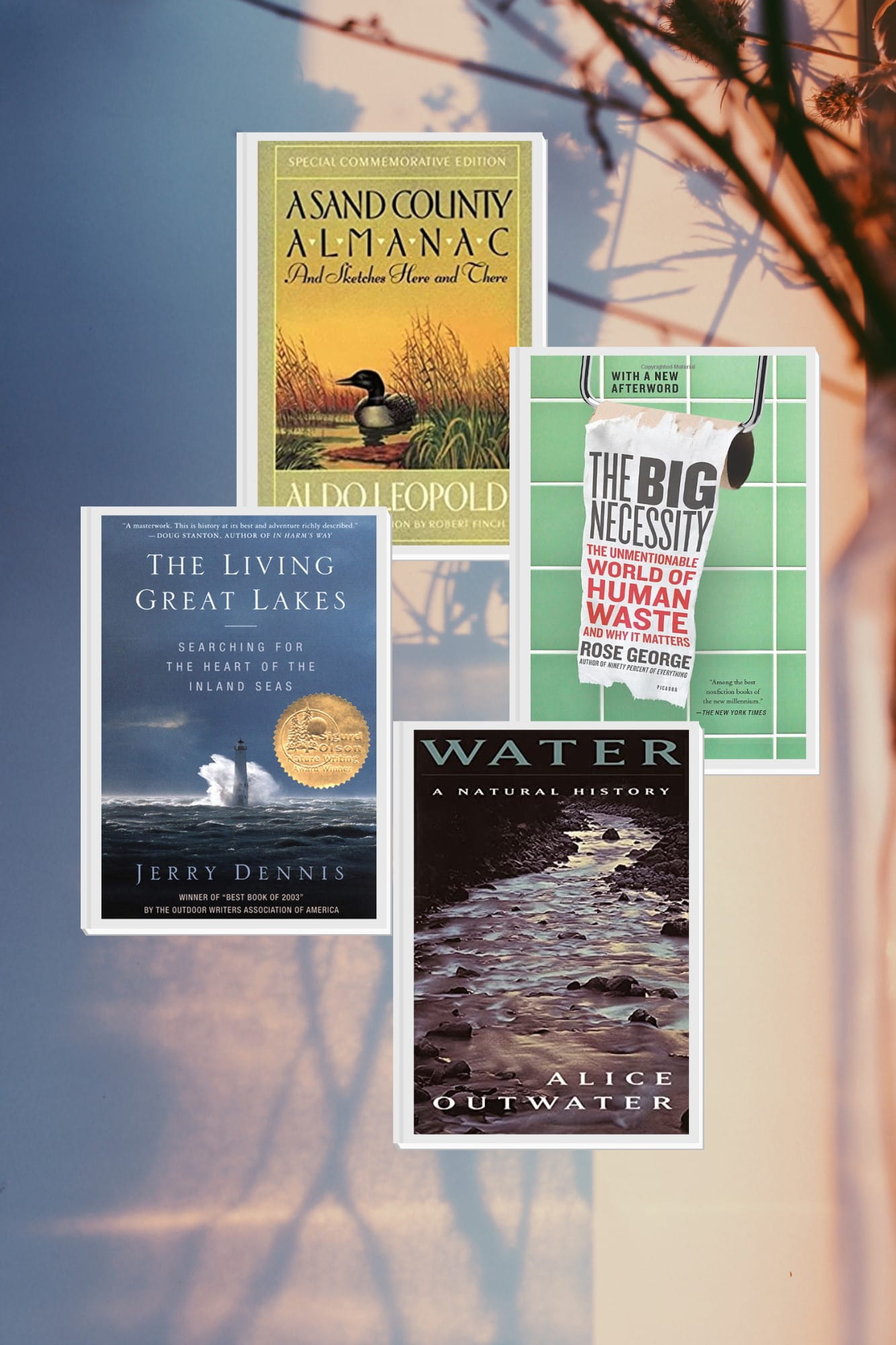 Collage of four book covers dealing with environmental issues. 