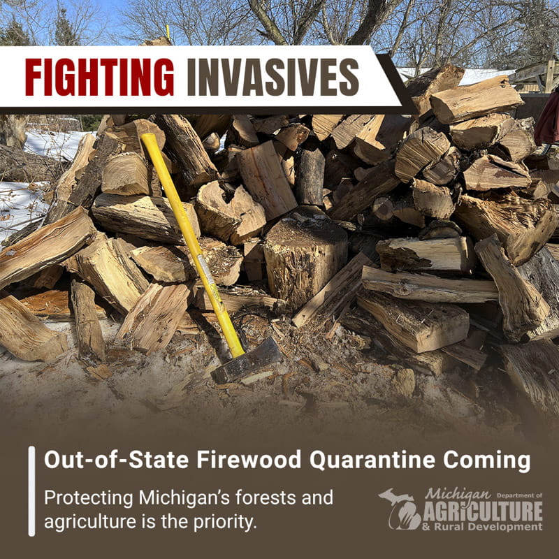 Pile of firewood with an ax leaning against it with the text: Fighting Invasives. Out-of-State Firewood Quarantine Coming. Protecting Michigan’s forests and agriculture is the priority. 