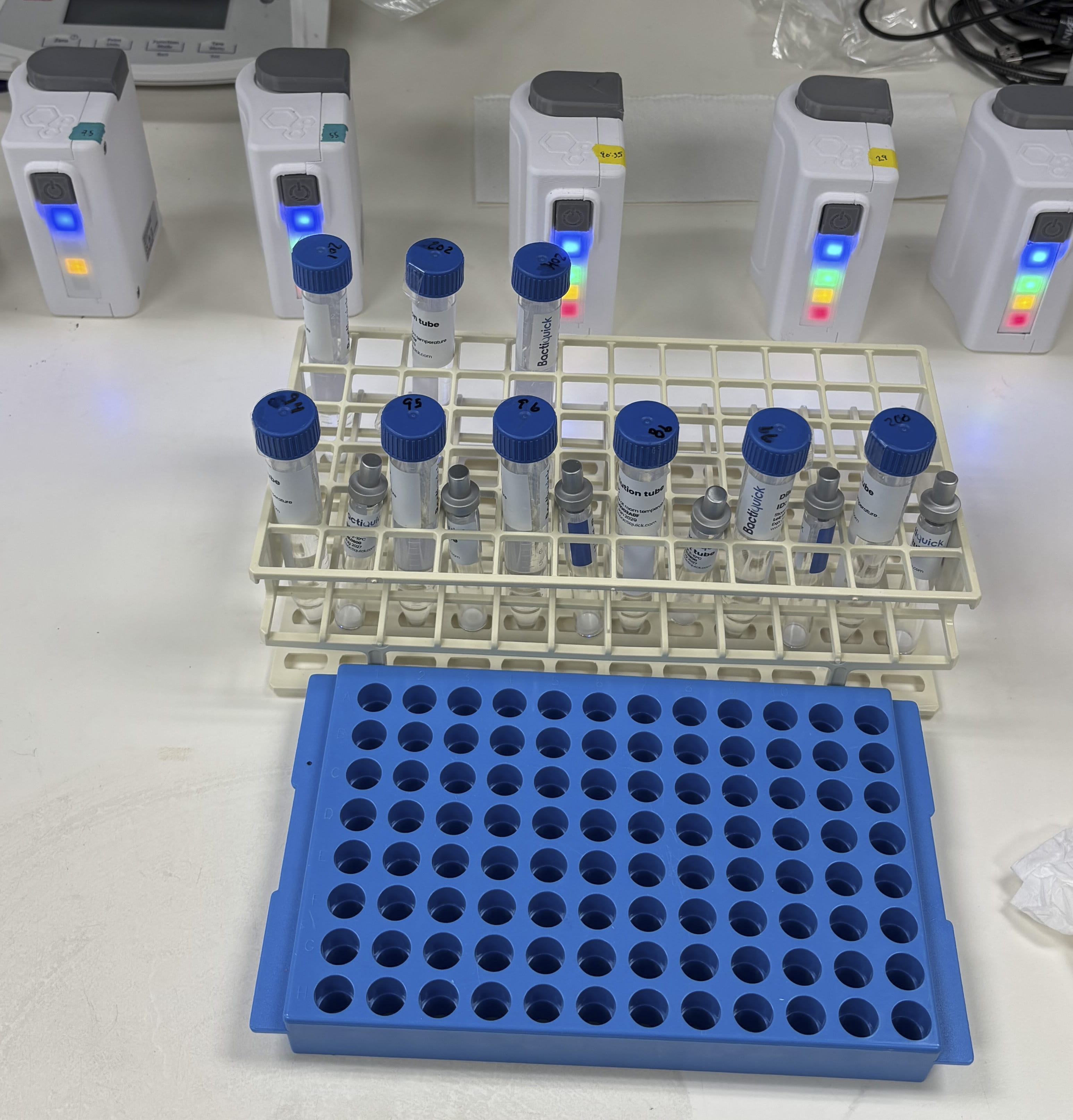 Handheld endotoxin detection equipment processing samples in a laboratory. 
