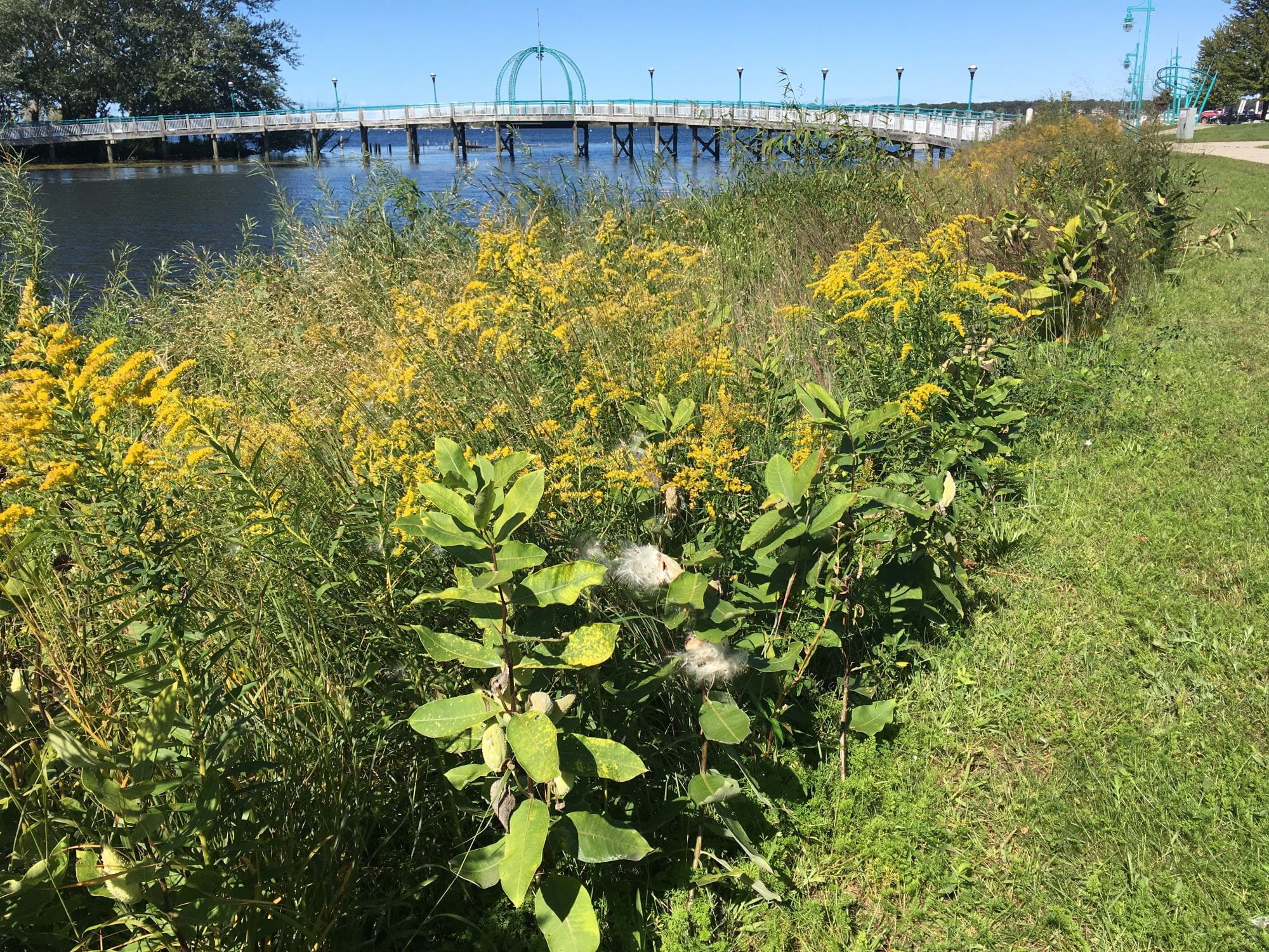 Heritage Landing after restoration at Muskegon Lake. Credit: Muskegon Lake Watershed Partnership.