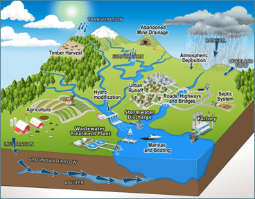 Illustrations of nonpoint and point source pollution along with elements of the water cycle. Developed by the USEPA, Office of Water, Nonpoint Source Program.